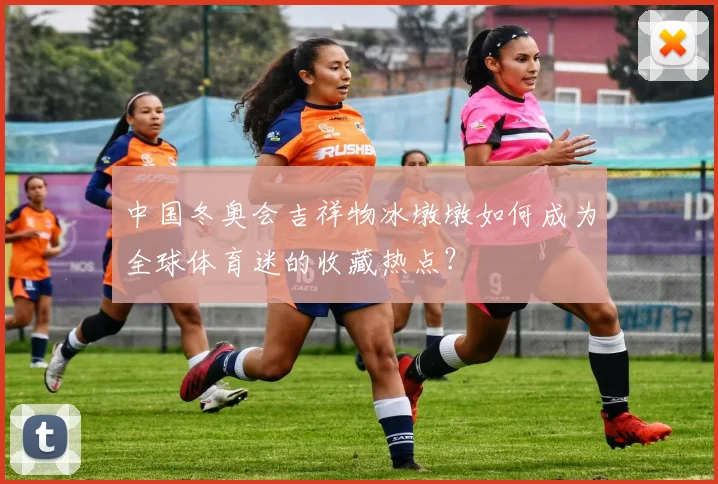 中国冬奥会吉祥物冰墩墩如何成为全球体育迷的收藏热点？