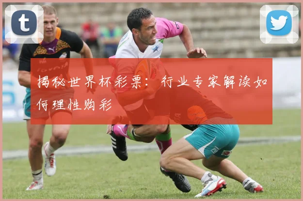 揭秘世界杯彩票：行业专家解读如何理性购彩