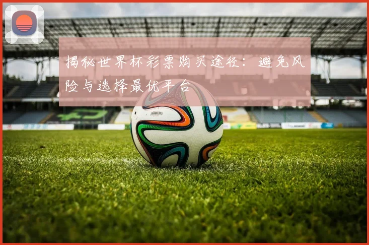 揭秘世界杯彩票购买途径：避免风险与选择最优平台
