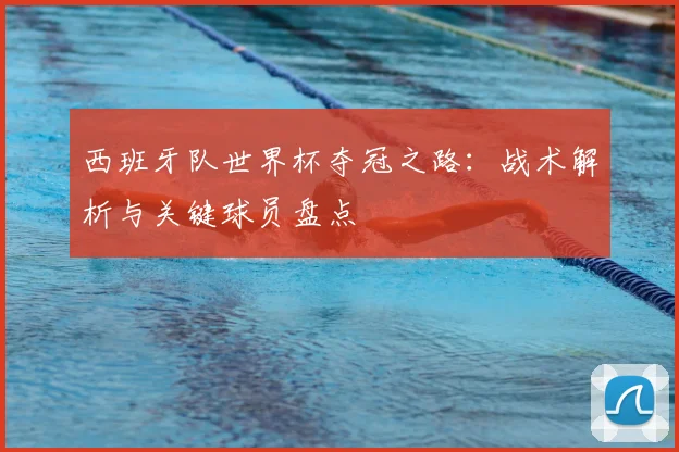 西班牙队世界杯夺冠之路：战术解析与关键球员盘点