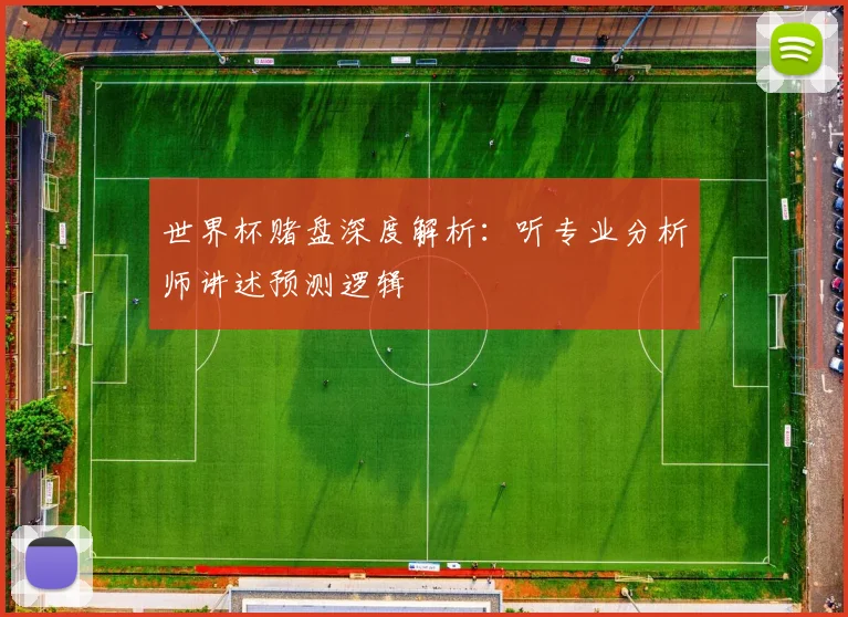 世界杯赌盘深度解析：听专业分析师讲述预测逻辑