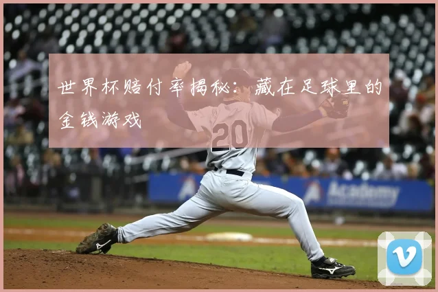 世界杯赔付率揭秘：藏在足球里的金钱游戏