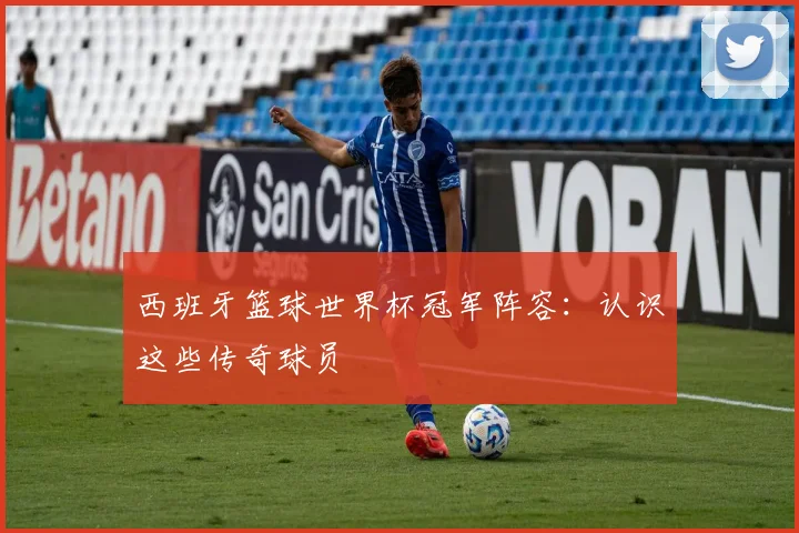 西班牙篮球世界杯冠军阵容：认识这些传奇球员