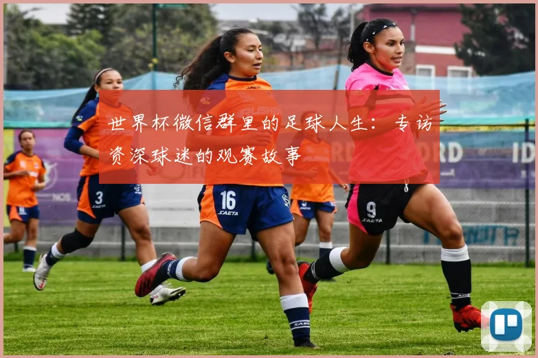 世界杯微信群里的足球人生:专访资深球迷的观赛故事