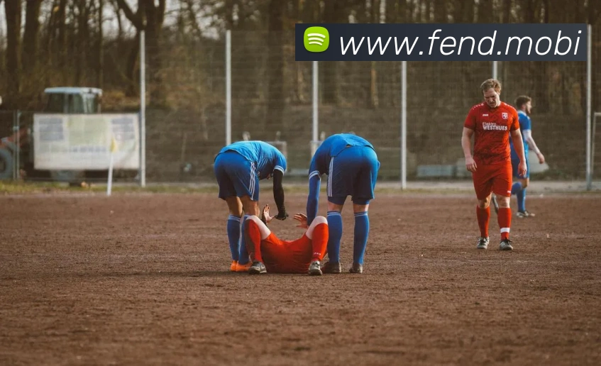 开云官方体育app官网平台生态图